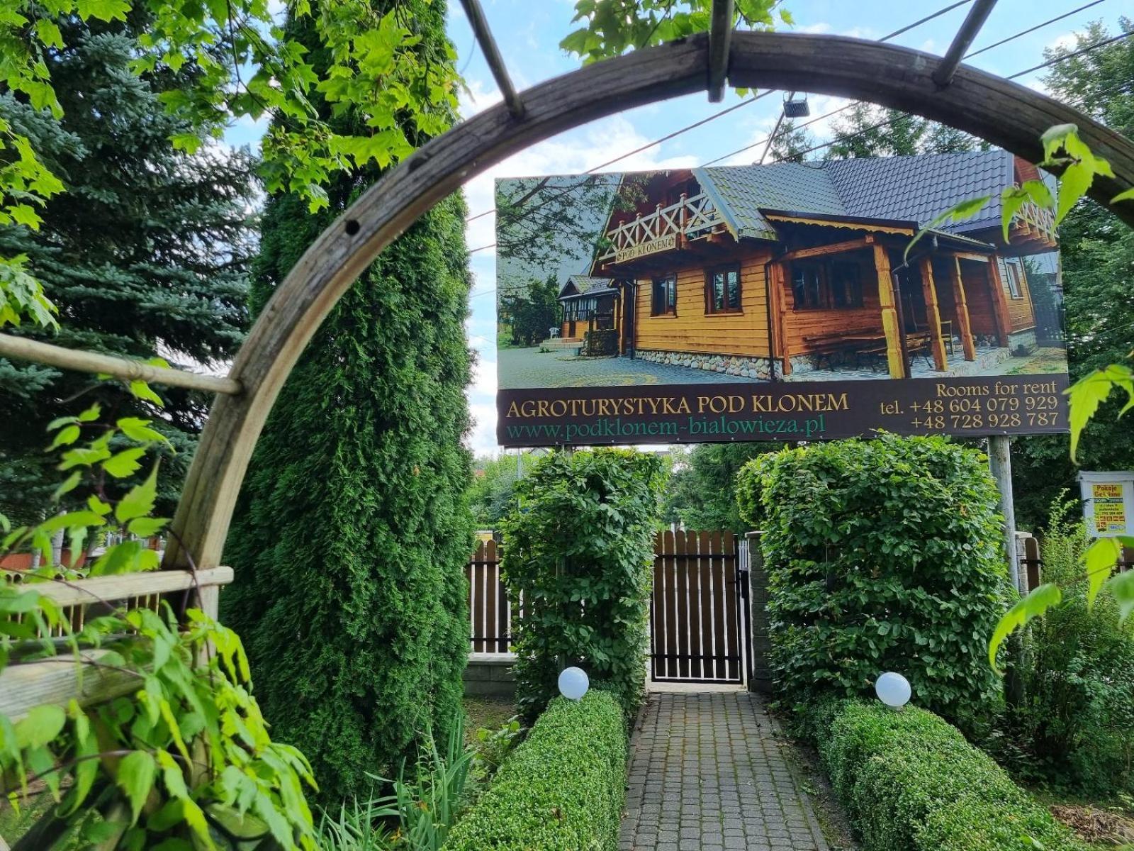 Domek Pod Klonem Agroturystyka Białowieża Exterior foto
